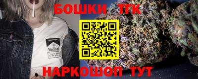 крисы Дубна