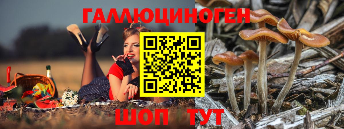 Галлюциногенные грибы мицелий  купить   Галлюциногенные грибы MAGIC MUSHROOMS  Ливны  Вход с VPN 